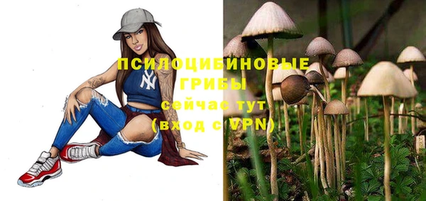 ALPHA-PVP Алексеевка
