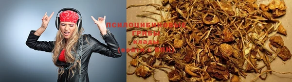 ALPHA-PVP Алексеевка